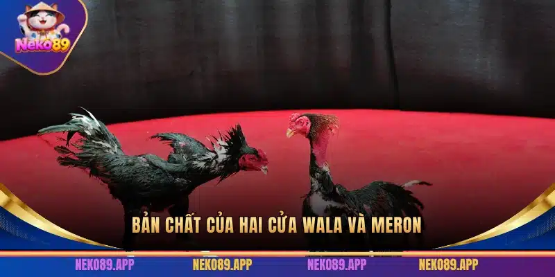 Bản chất của hai cửa Wala Và Meron