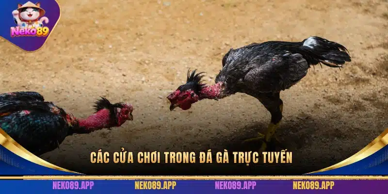 Các cửa chơi trong đá gà trực tuyến