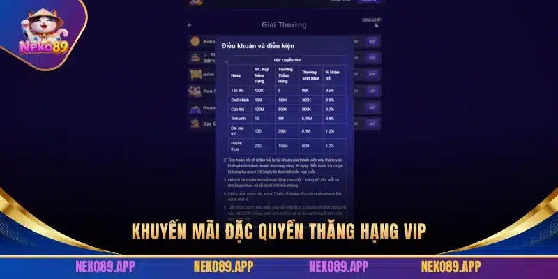 KHUYẾN MÃI ĐẶC QUYỀN THĂNG HẠNG VIP