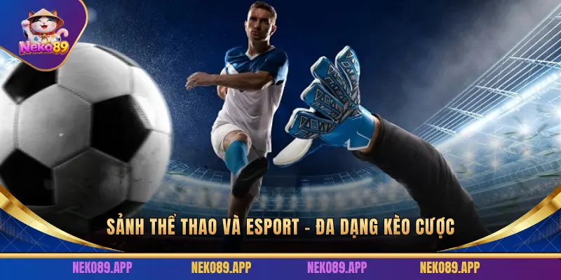Thể Thao và Esport – Đa dạng kèo cược