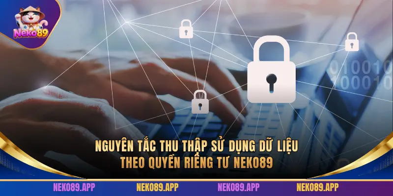 NGUYÊN TẮC THU THẬP SỬ DỤNG DỮ LIỆU THEO QUYỀN RIÊNG TƯ NEKO89