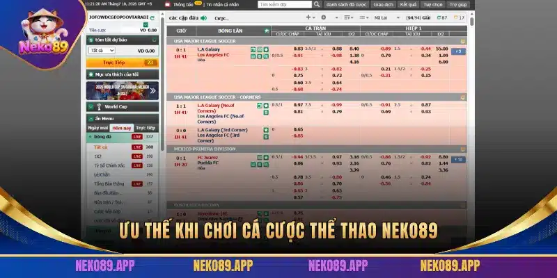 ƯU THẾ KHI CHƠI CÁ CƯỢC THỂ THAO NEKO89