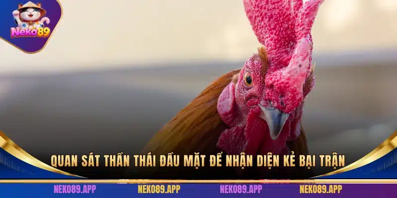 Quan sát thần thái đầu mặt để nhận diện kẻ bại trận